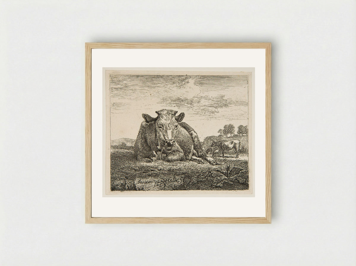 Cow Lying Down - Adriaen van de Velde - Framed Print Wood