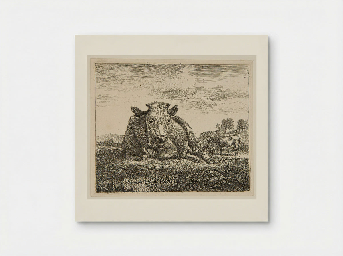 Cow Lying Down - Adriaen van de Velde - Poster
