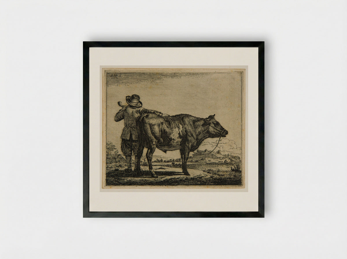 Cowherd and Bull - Adriaen van de Velde - Framed Print Black