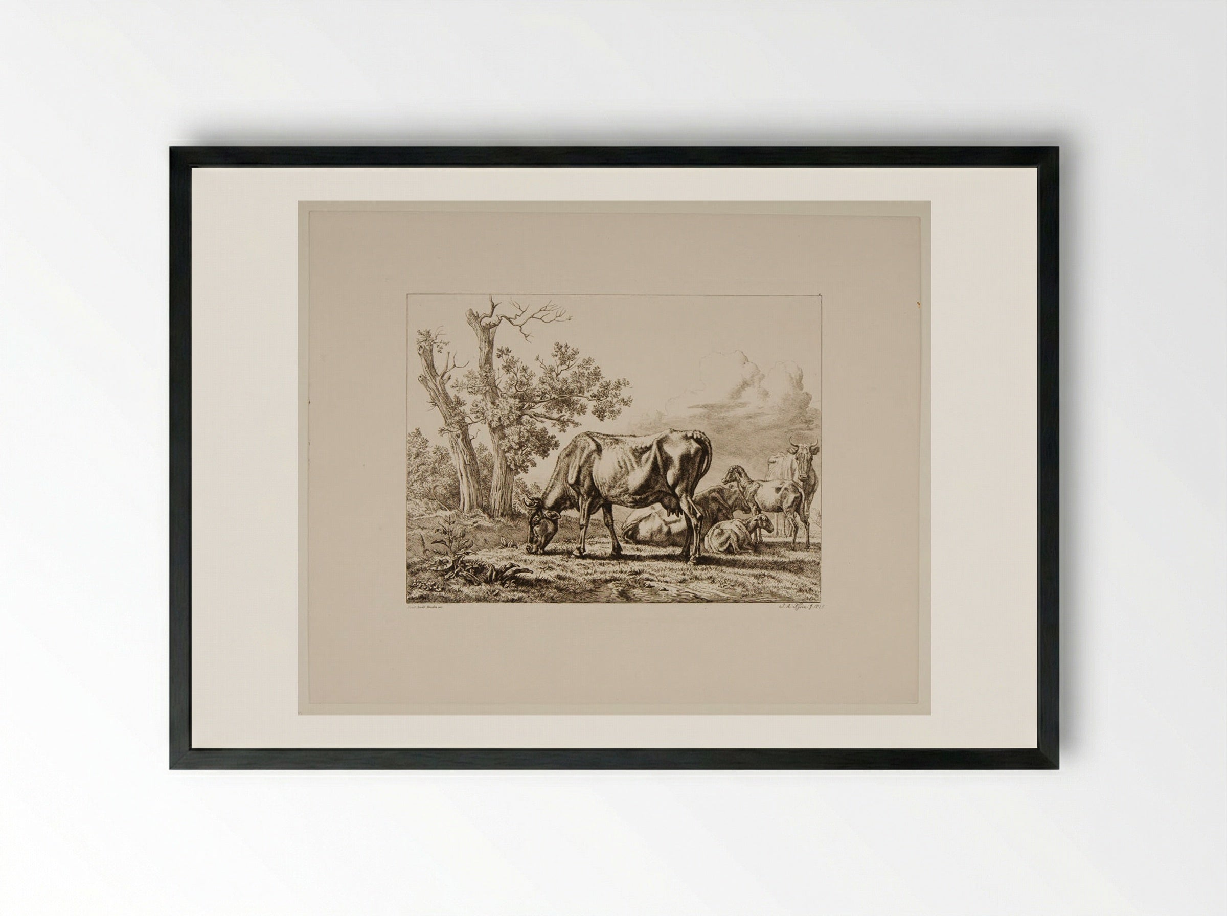 Cows and Sheep - Johann Adam Klein - Framed Print Black