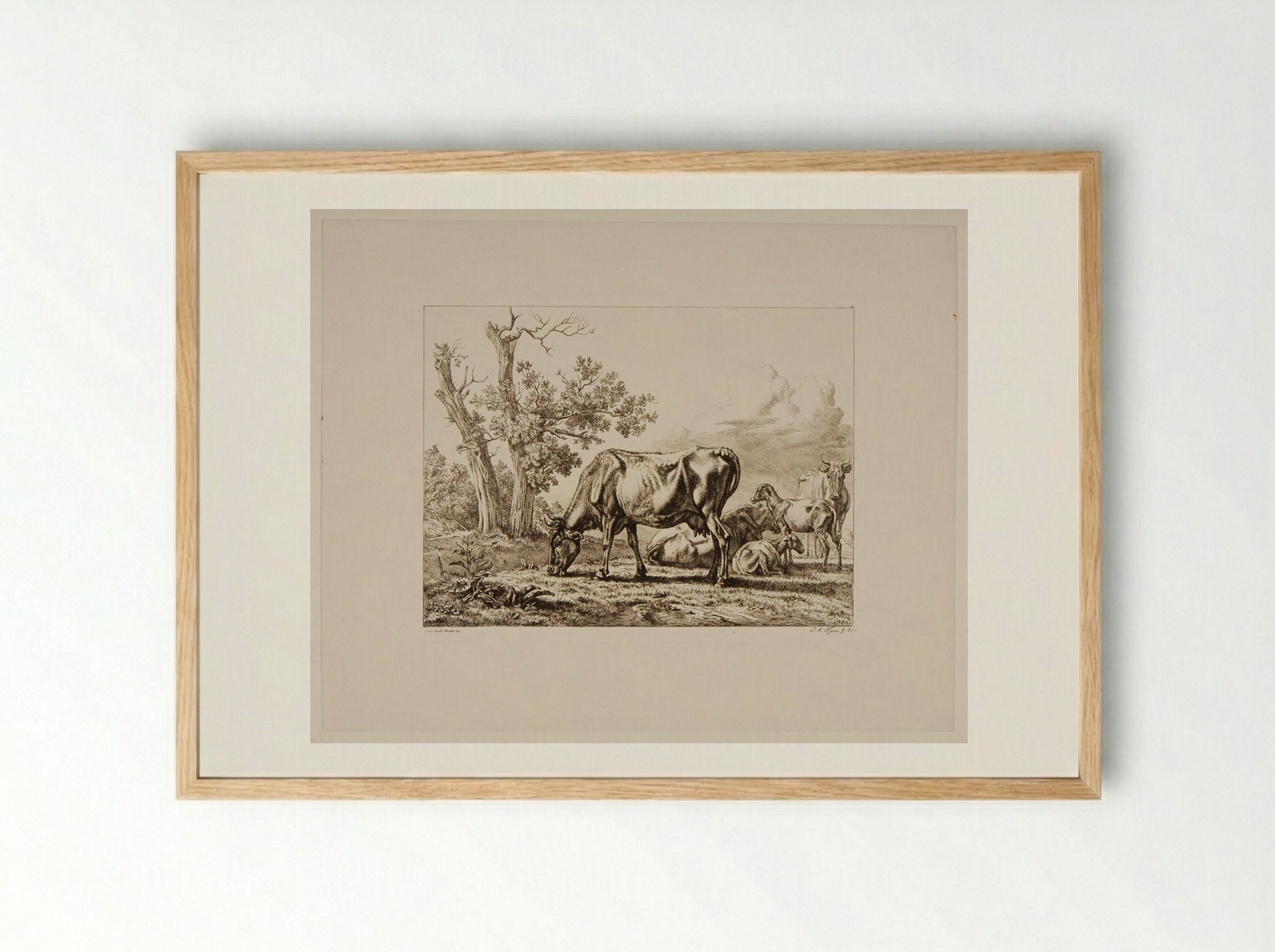 Cows and Sheep - Johann Adam Klein - Framed Print Wood