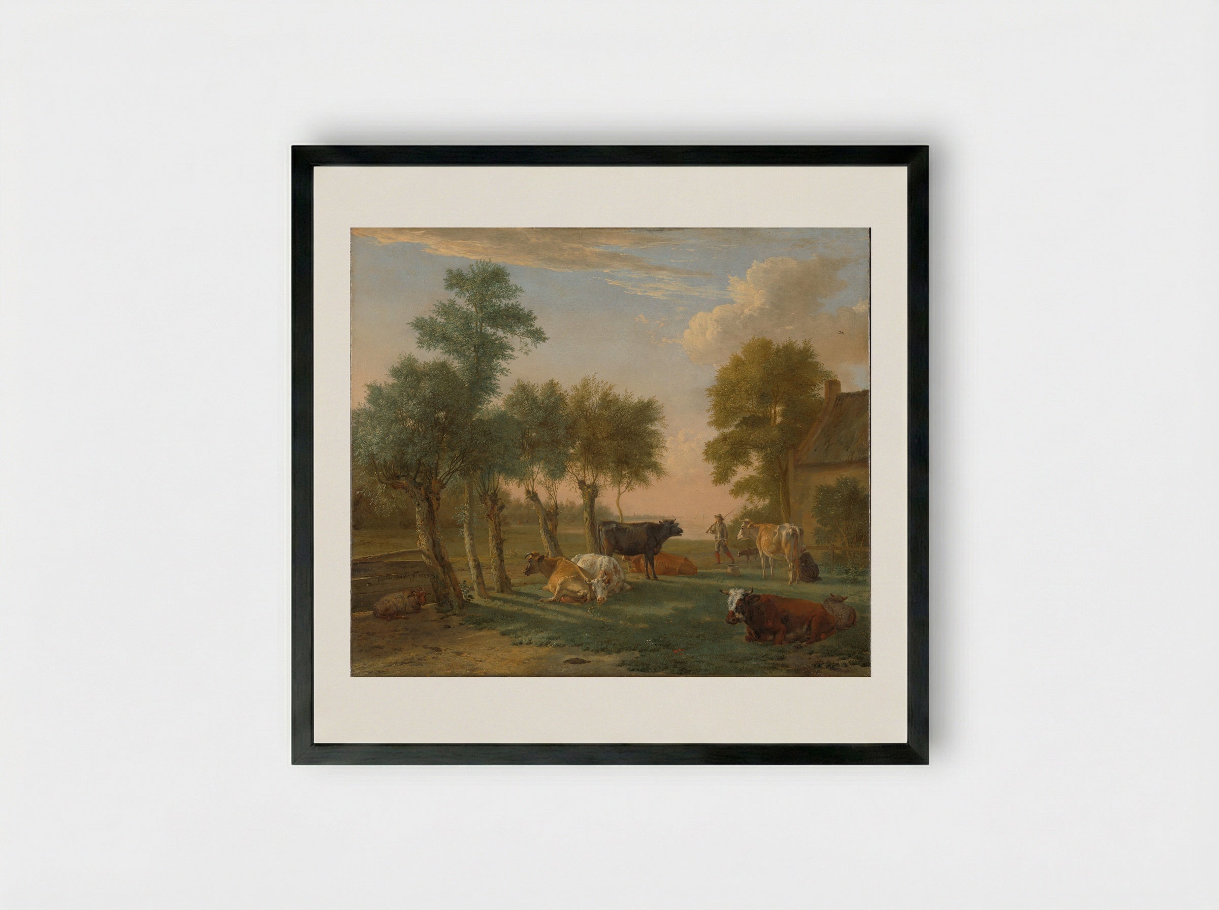 Cows in a Meadow near a Farm - Paulus Potter - Framed Print Black