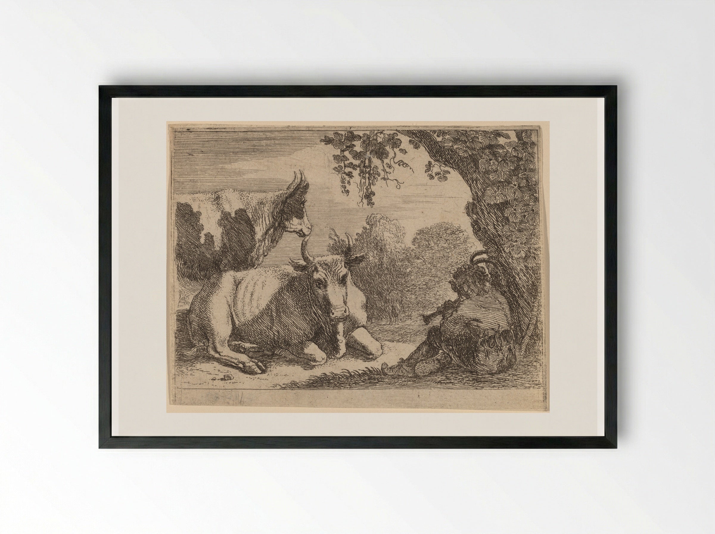 Cows - Herman van Swanevelt - Framed Print Black