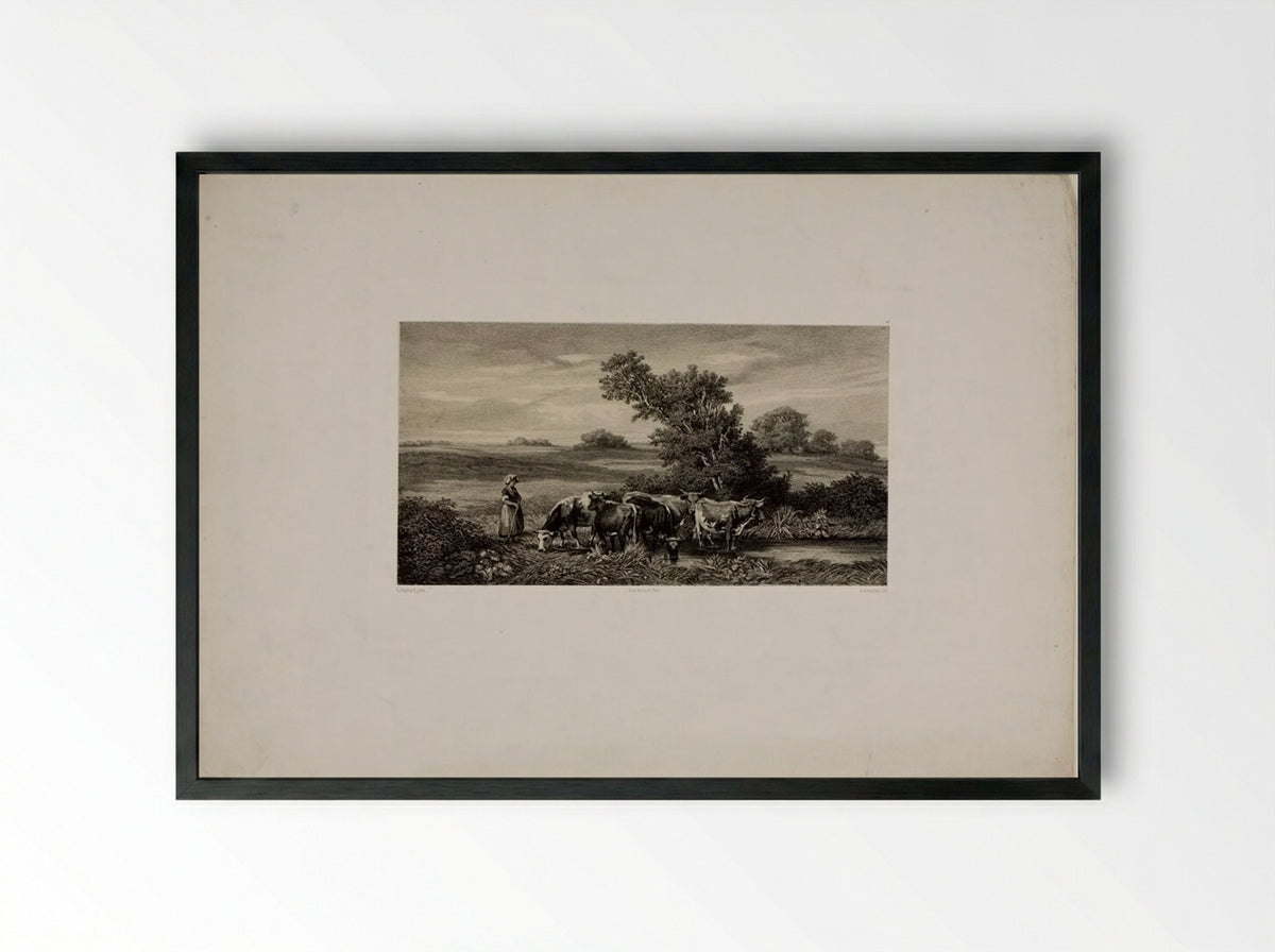 Cows - Auguste Paul Charles Anastasi - Framed Print Black