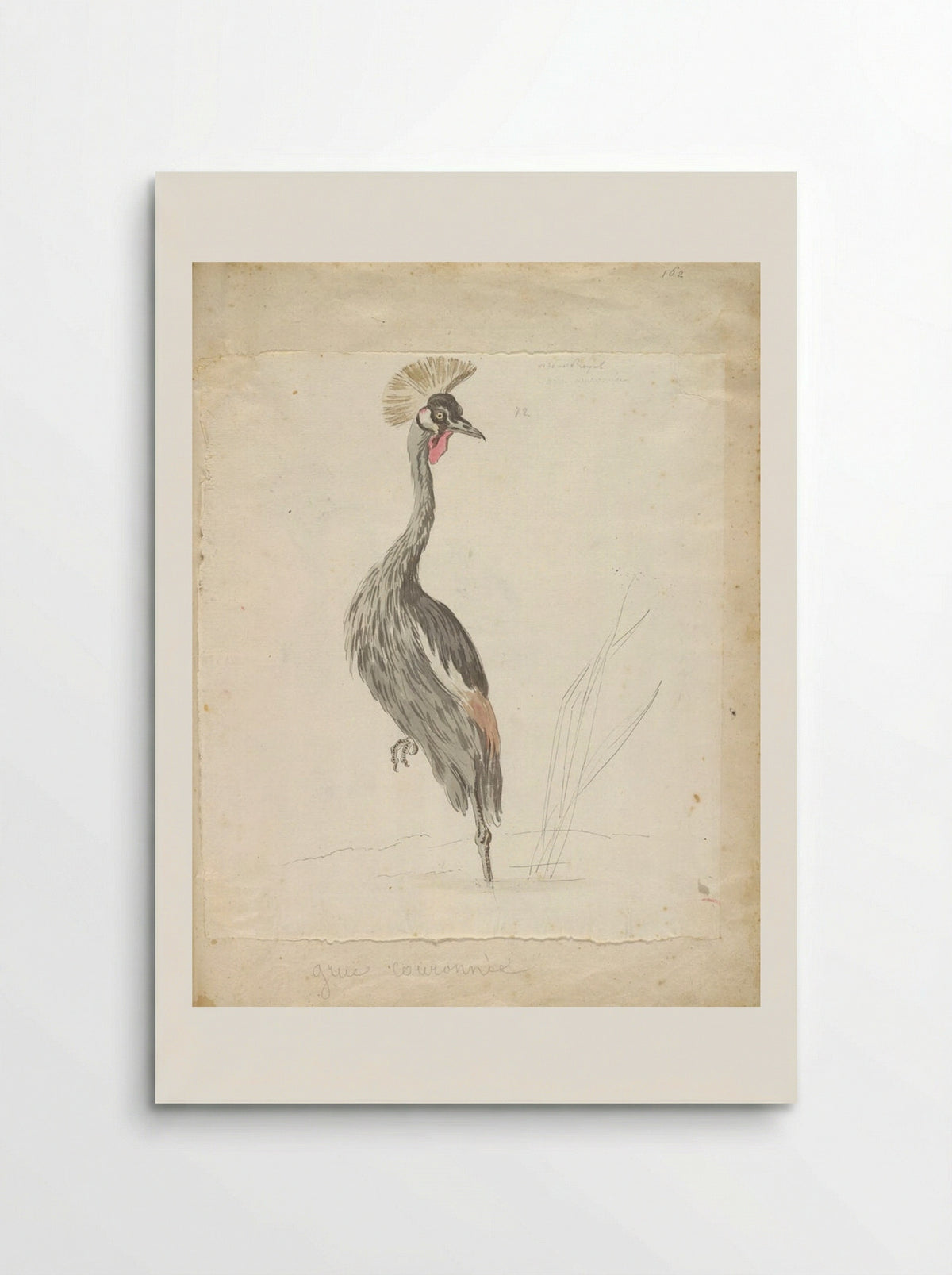 Crane Looking to the Left - Jean-Baptiste Oudry - Poster