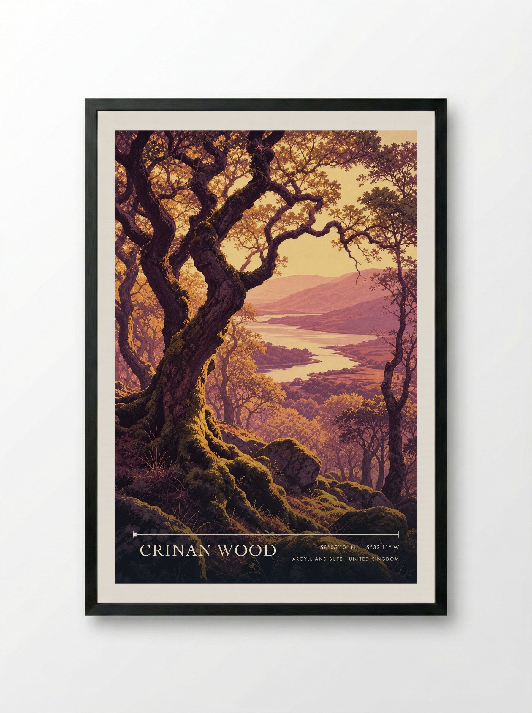 Crinan Wood Argyll and Bute United Kingdom Travel Poster - Framed Print Black