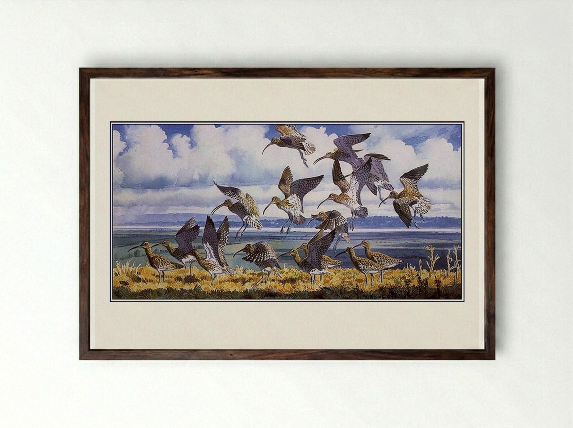Curlews Alighting - Charles Tunnicliffe - Framed Print Dark Wood