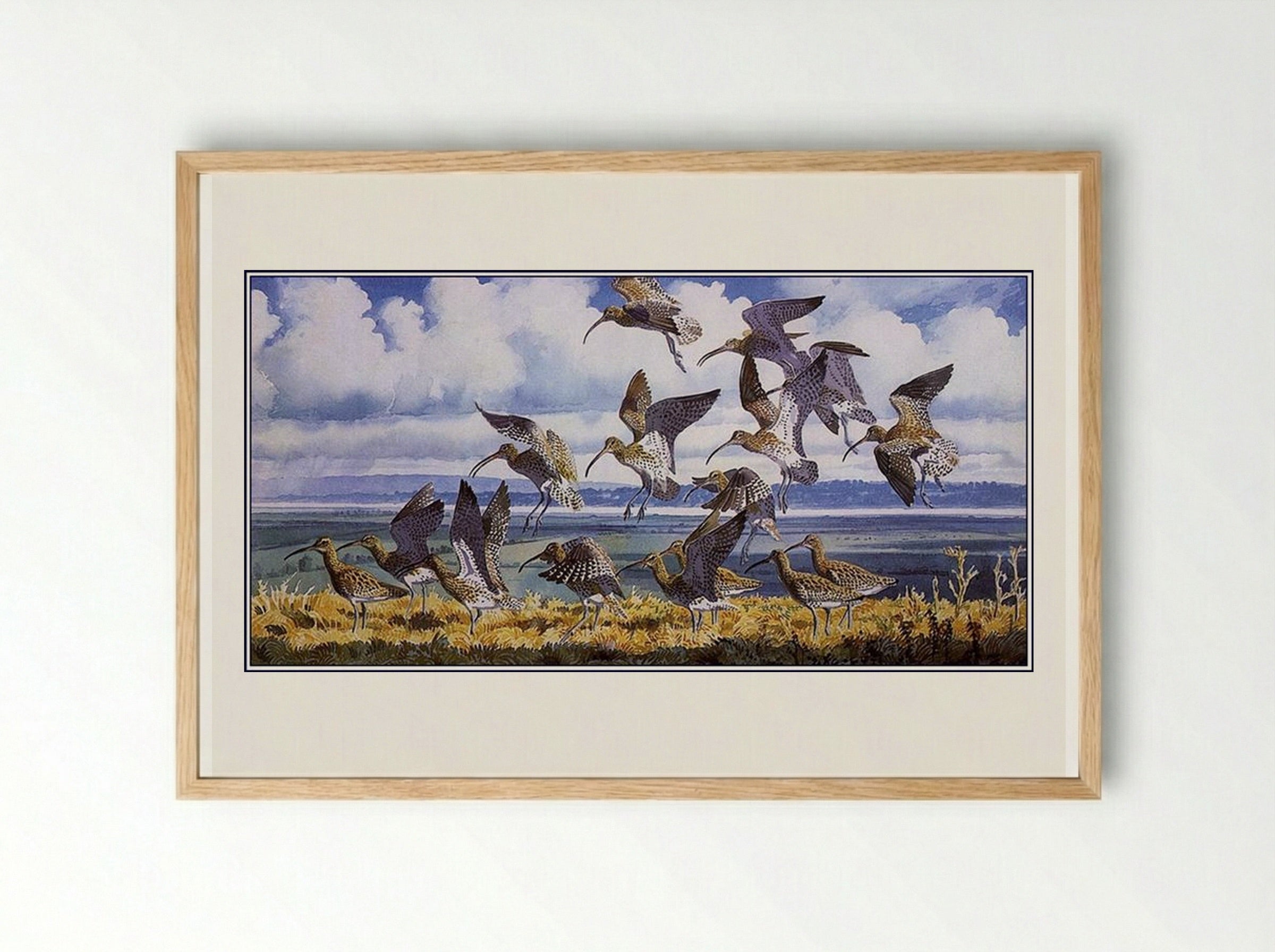 Curlews Alighting - Charles Tunnicliffe - Framed Print Wood