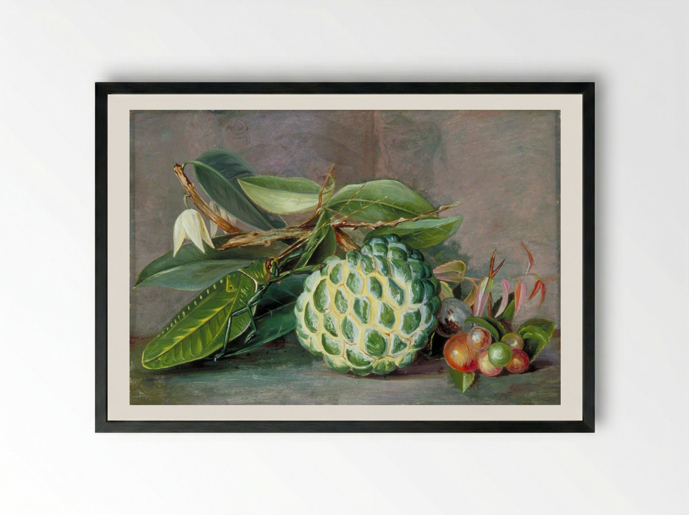 Custard Apple, Native 'Gooseberry' of Sarawak, and Leaf Locust - Marianne North - Framed Print Black