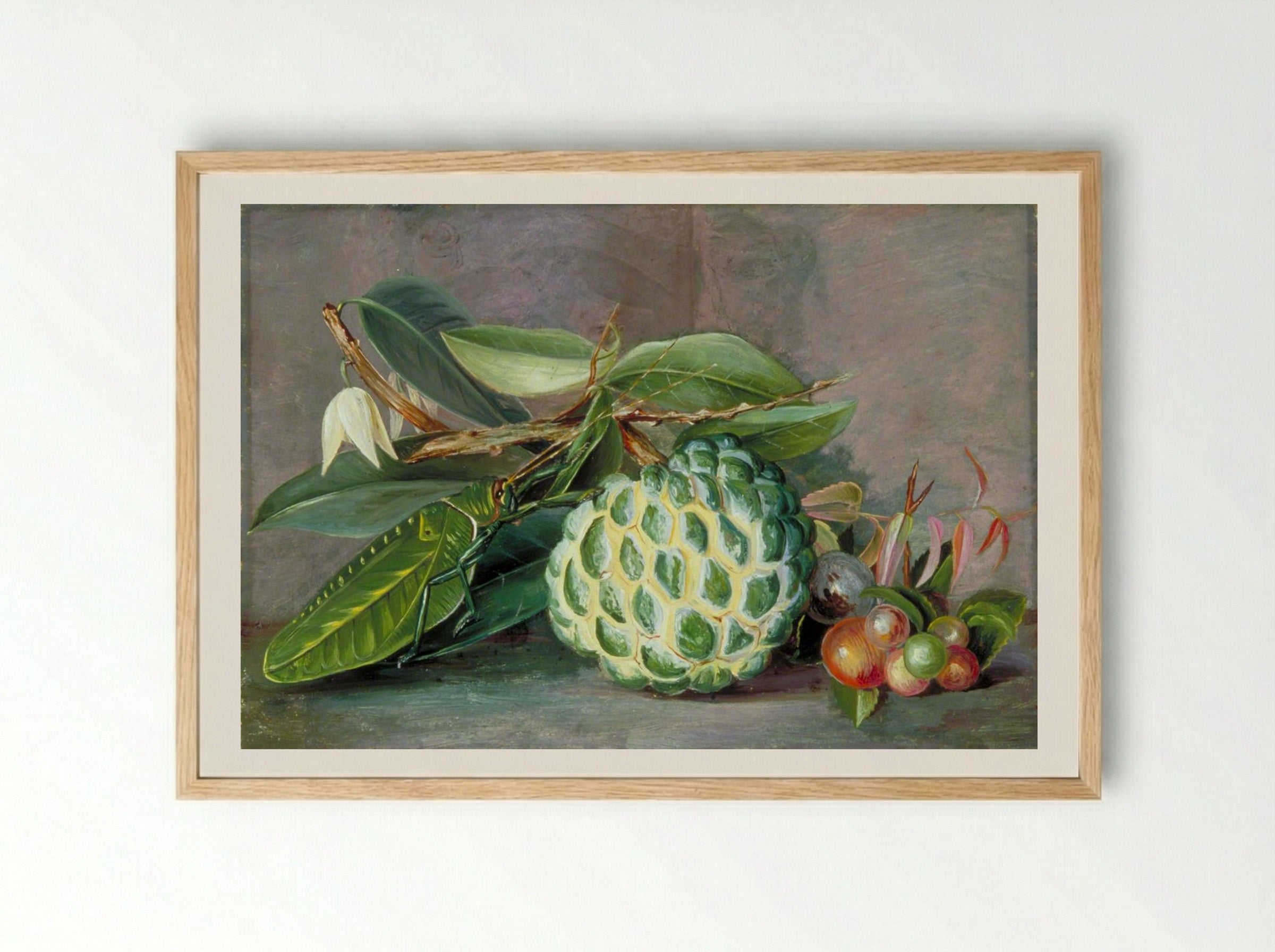 Custard Apple, Native 'Gooseberry' of Sarawak, and Leaf Locust - Marianne North - Framed Print Wood