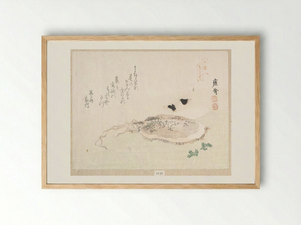 Cuttle Fish - Kikuchi Yōsai - Framed Print Wood