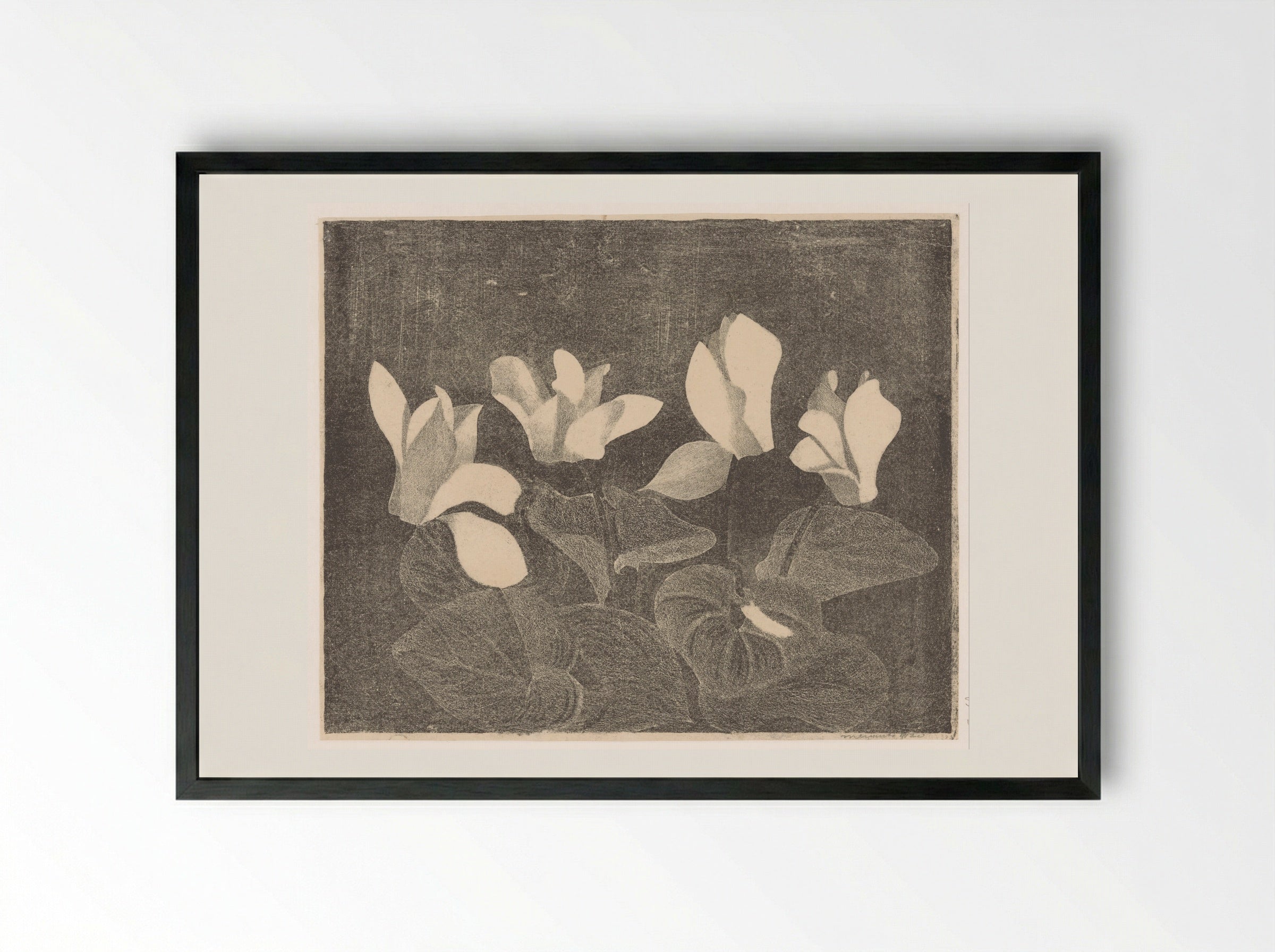 Cyclamen - Samuel Jessurun de Mesquita - Framed Print Black