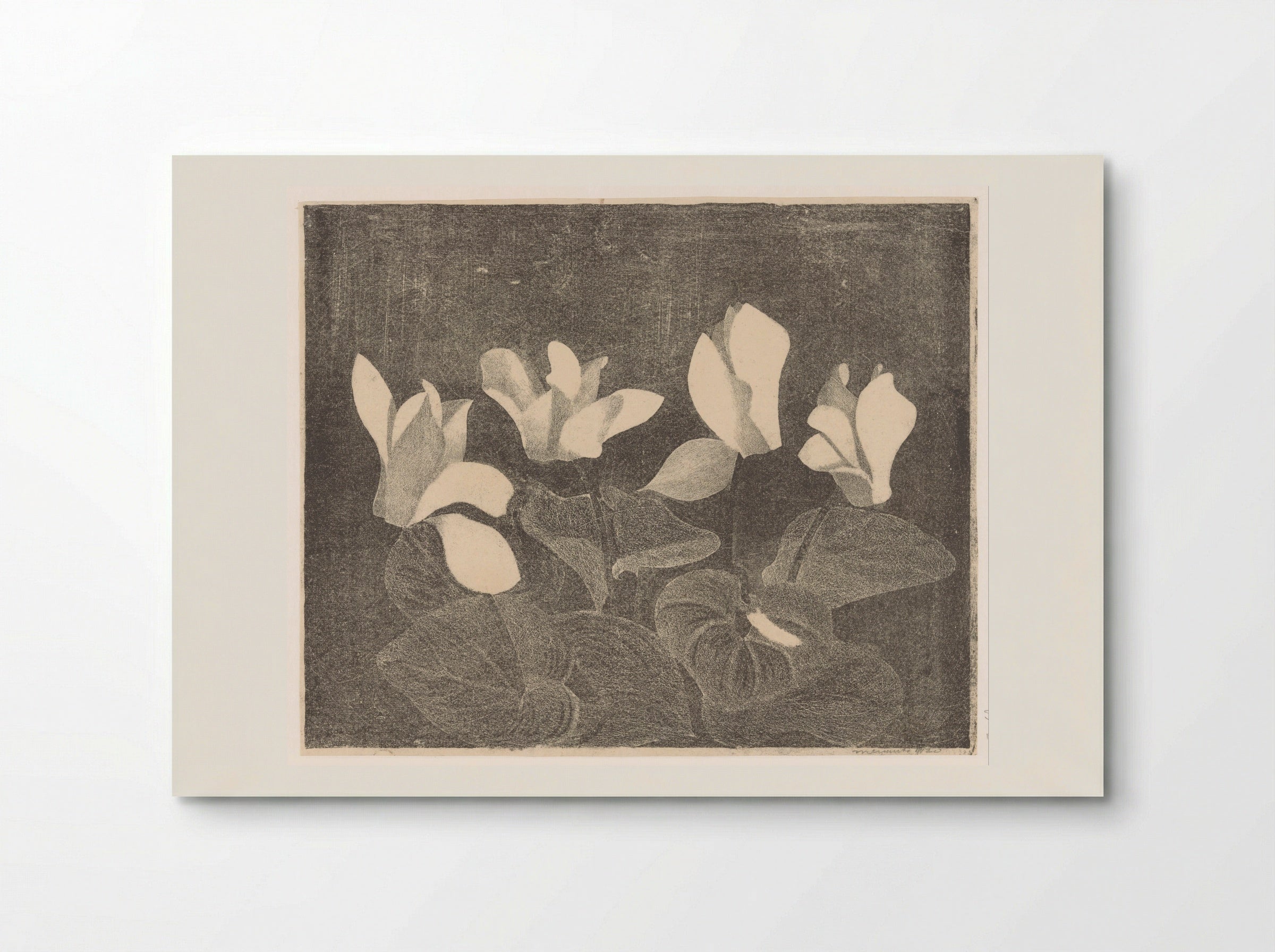 Cyclamen - Samuel Jessurun de Mesquita - Poster
