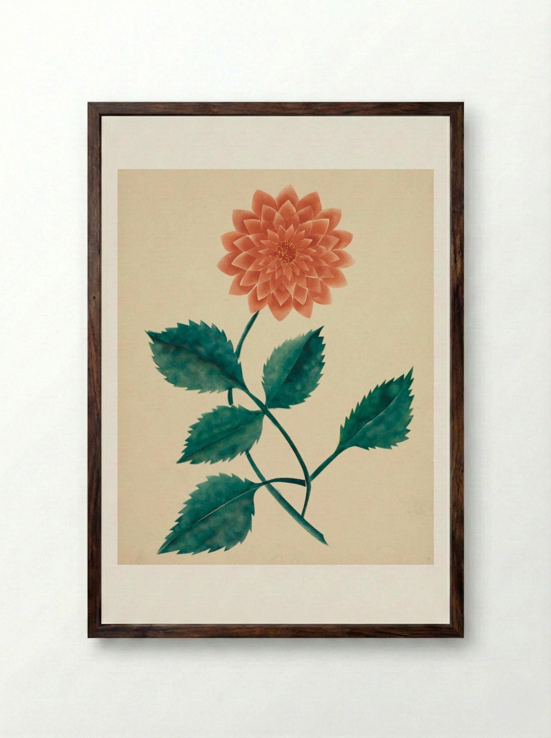 Dahlia - Mary Altha Nims - Framed Print Dark Wood