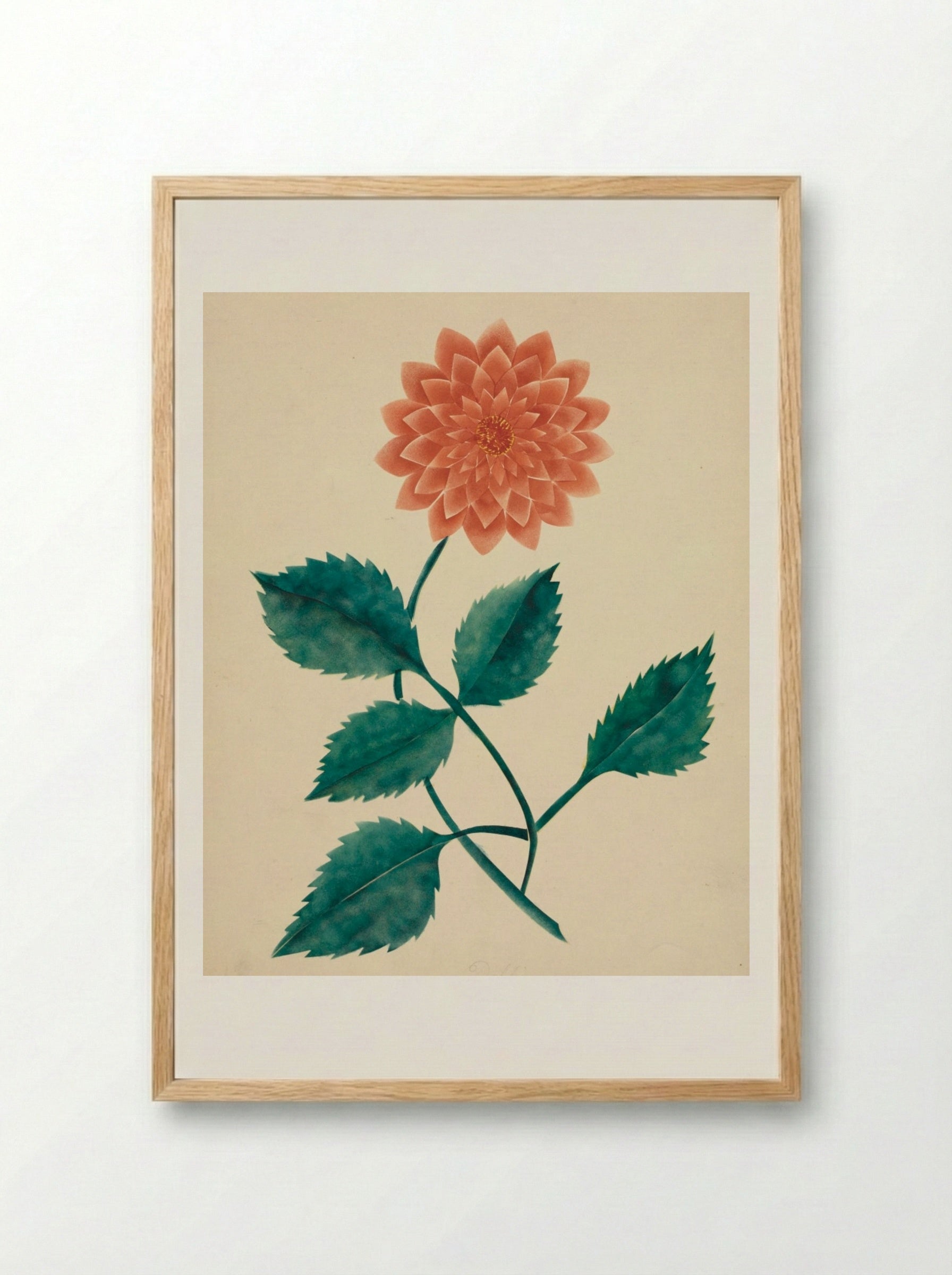 Dahlia - Mary Altha Nims - Framed Print Wood