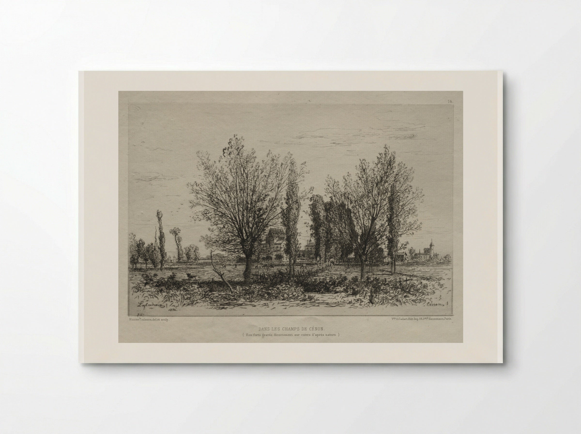 Dans les Champs de Cénon - Maxime Lalanne - Poster