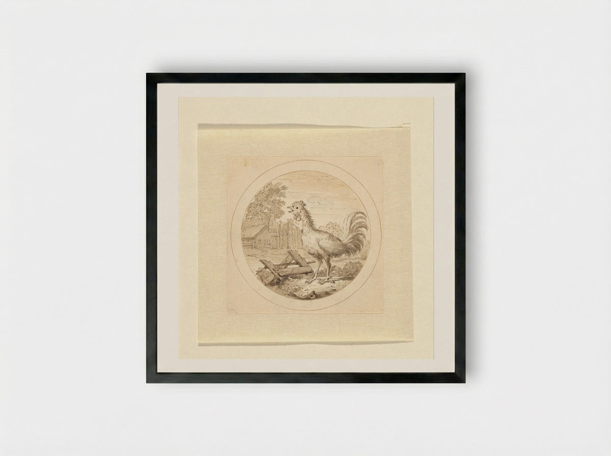 De Haan (The Rooster) - Arnold Houbraken - Framed Print Black