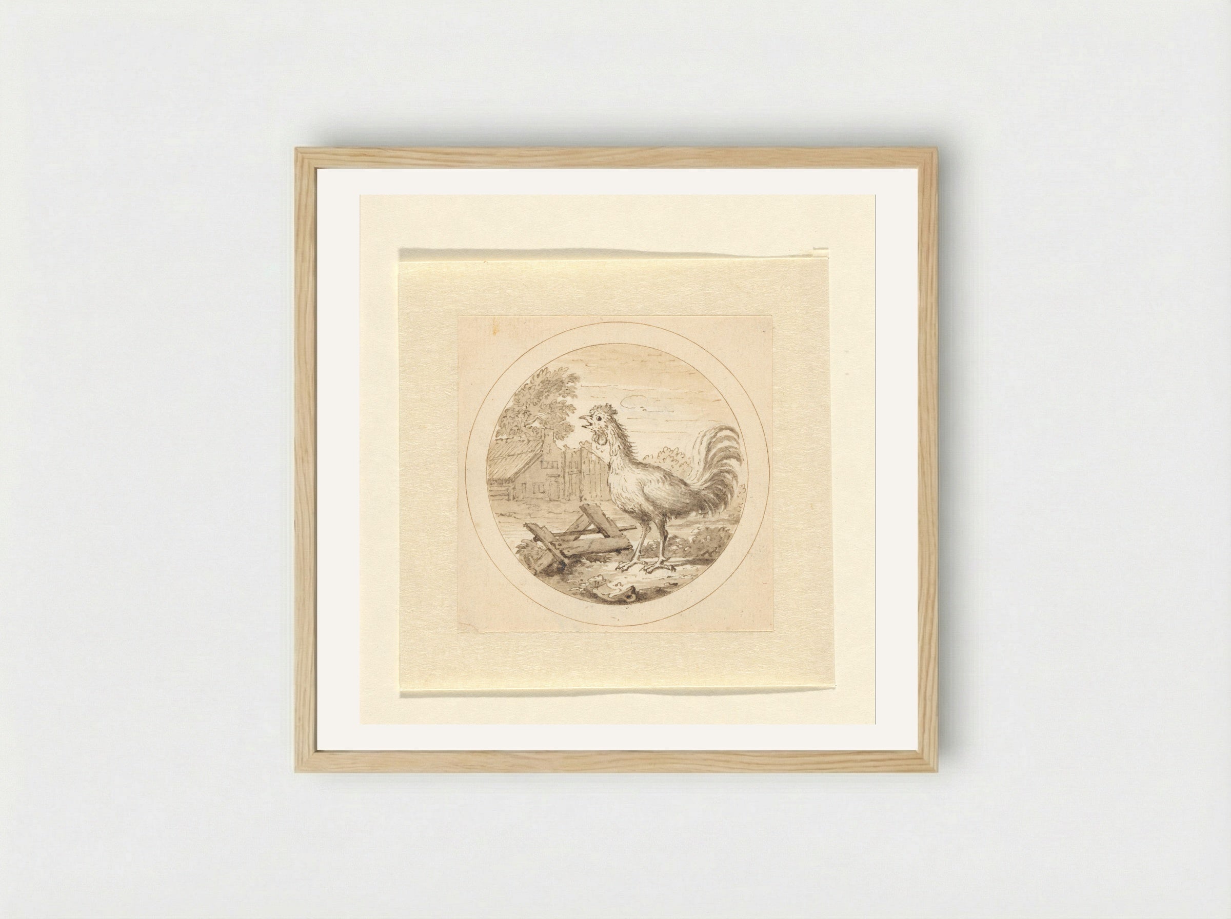 De Haan (The Rooster) - Arnold Houbraken - Framed Print Wood