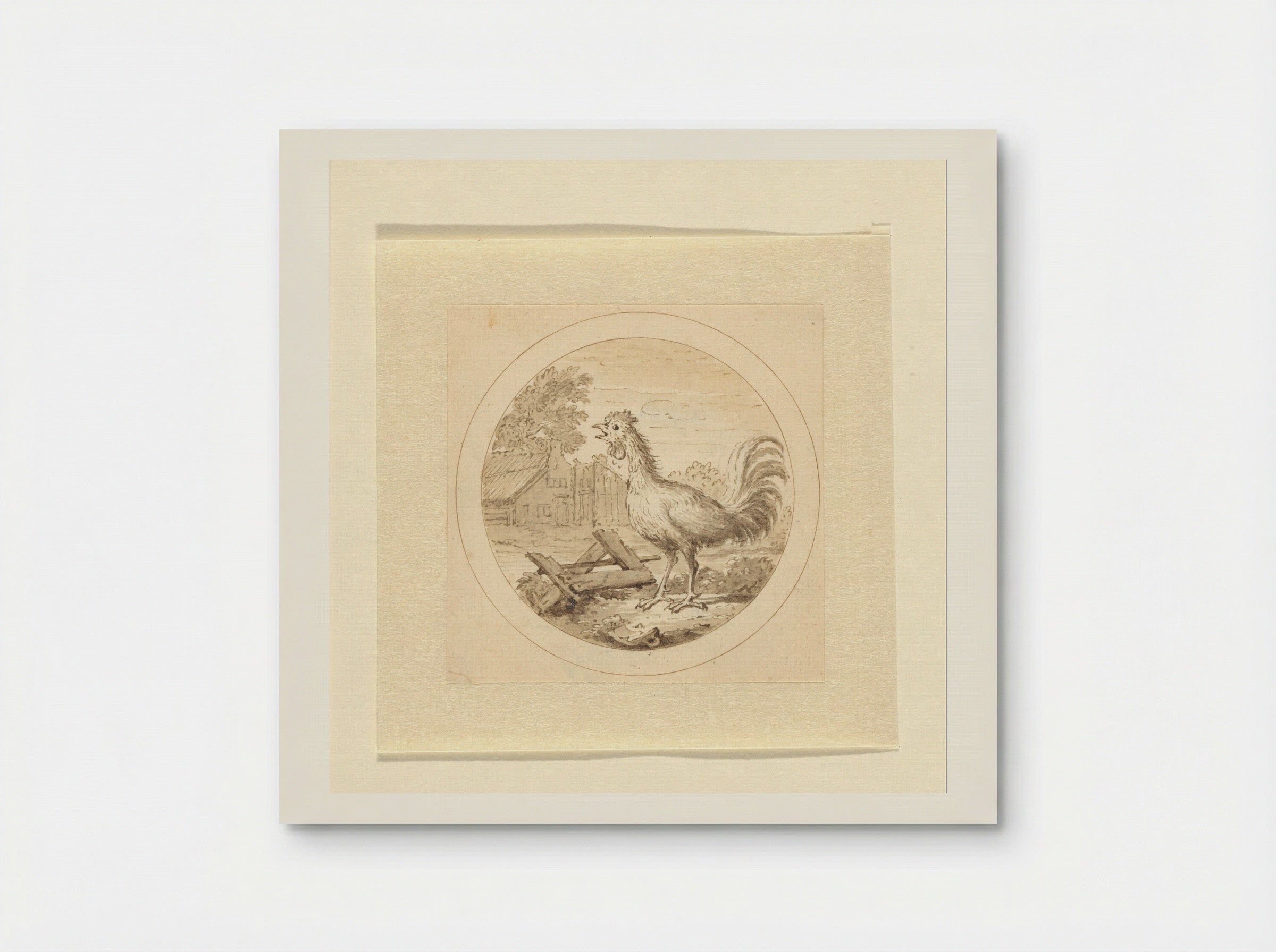 De Haan (The Rooster) - Arnold Houbraken - Poster
