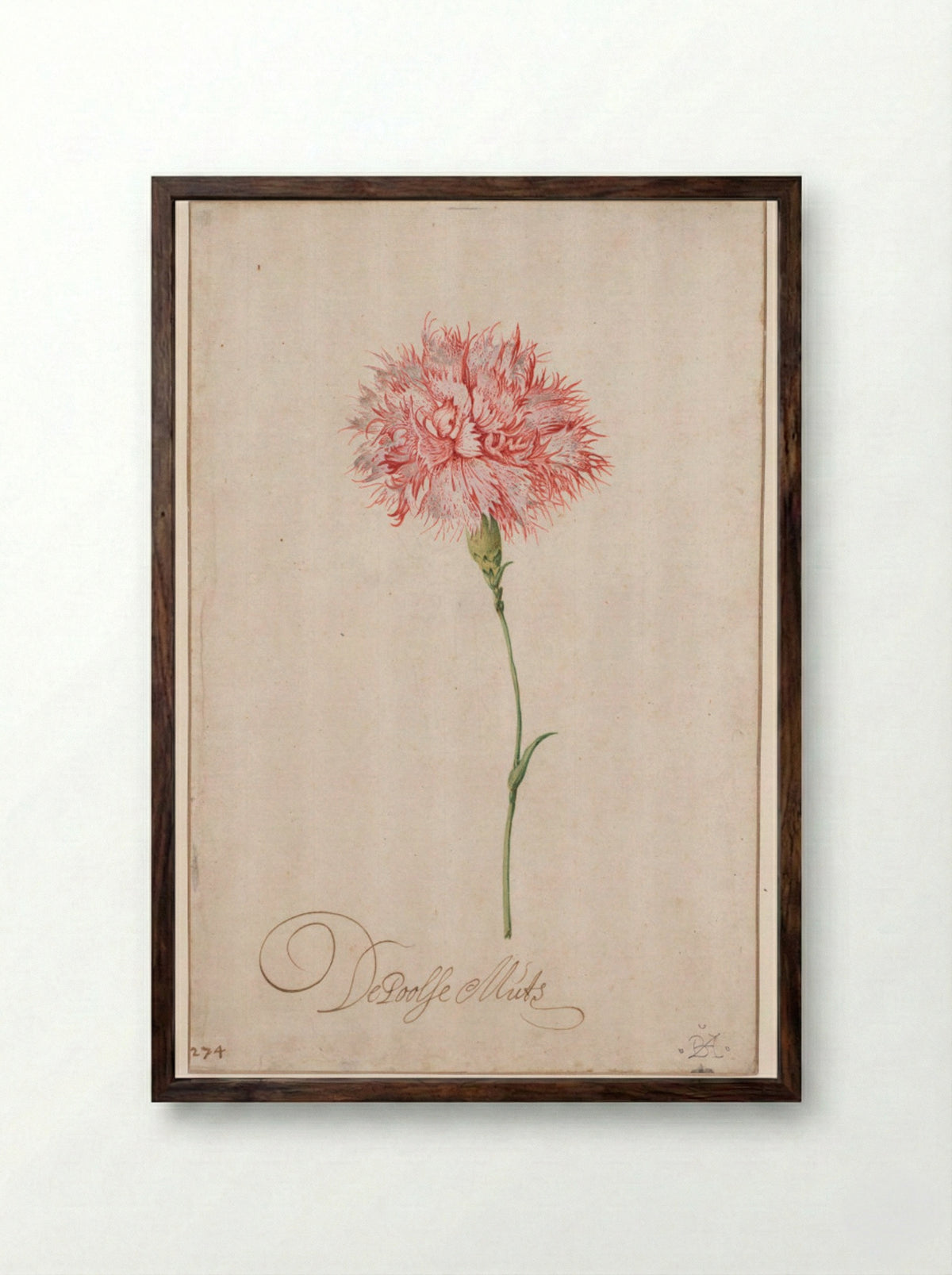 De Poolse Muts - Balthasar van der Ast - Framed Print Dark Wood