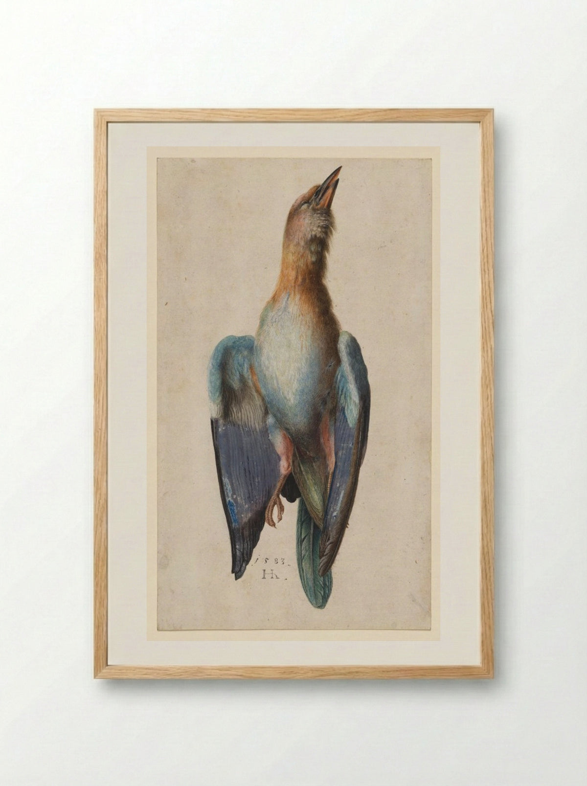 Dead Blue Roller - Hans Hoffmann - Framed Print Wood