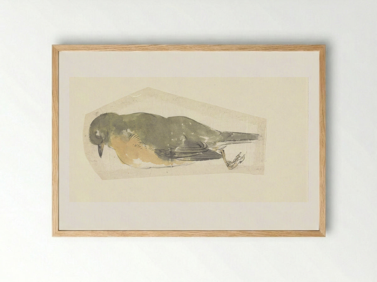 Dead Robin - Yamamoto Baiitsu - Framed Print Wood