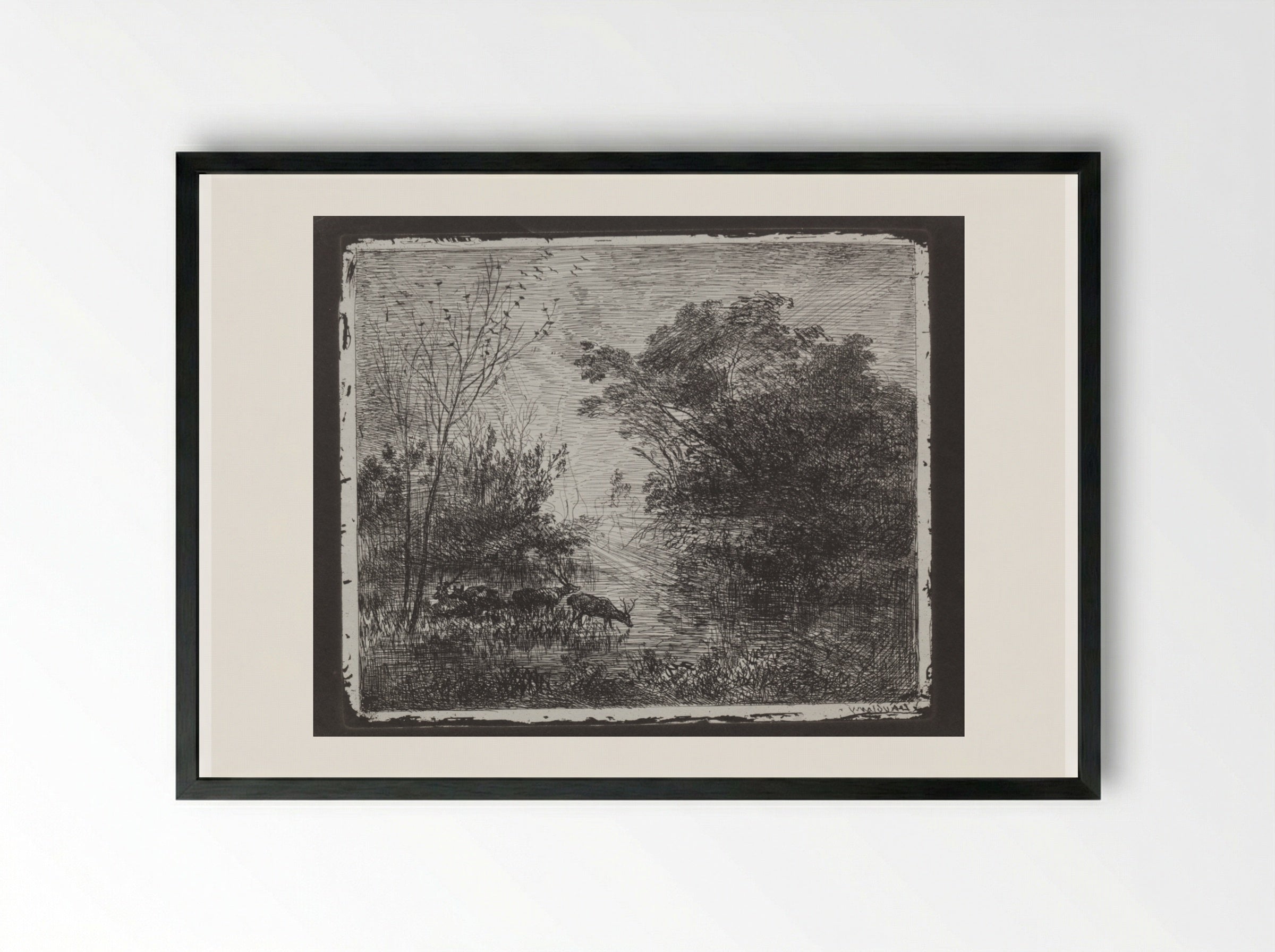Deer - Charles-François Daubigny - Framed Print Black