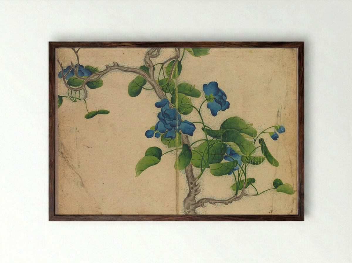 Desk Album: Flower and Bird Paintings (Climbing Blue Flowers) - Zhang Ruoai - Framed Print Dark Wood