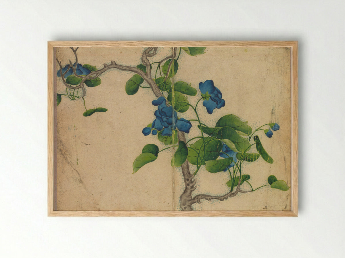 Desk Album: Flower and Bird Paintings (Climbing Blue Flowers) - Zhang Ruoai - Framed Print Wood