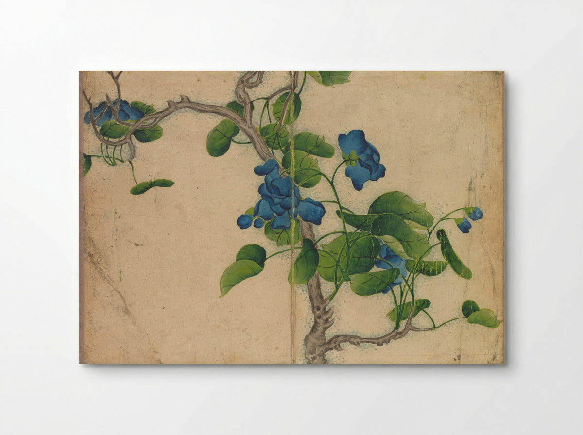 Desk Album: Flower and Bird Paintings (Climbing Blue Flowers) - Zhang Ruoai - Poster