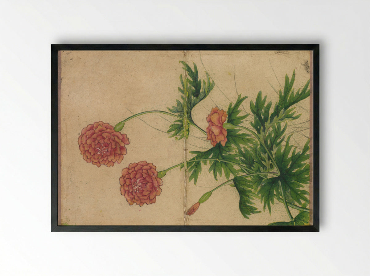 Desk Album: Flower and Bird Paintings (Peony) - Zhang Ruoai - Framed Print Black