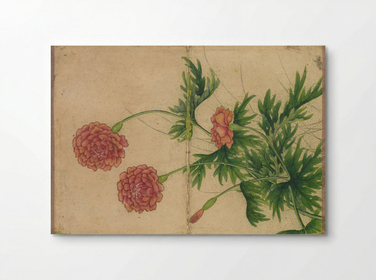 Desk Album: Flower and Bird Paintings (Peony) - Zhang Ruoai - Poster