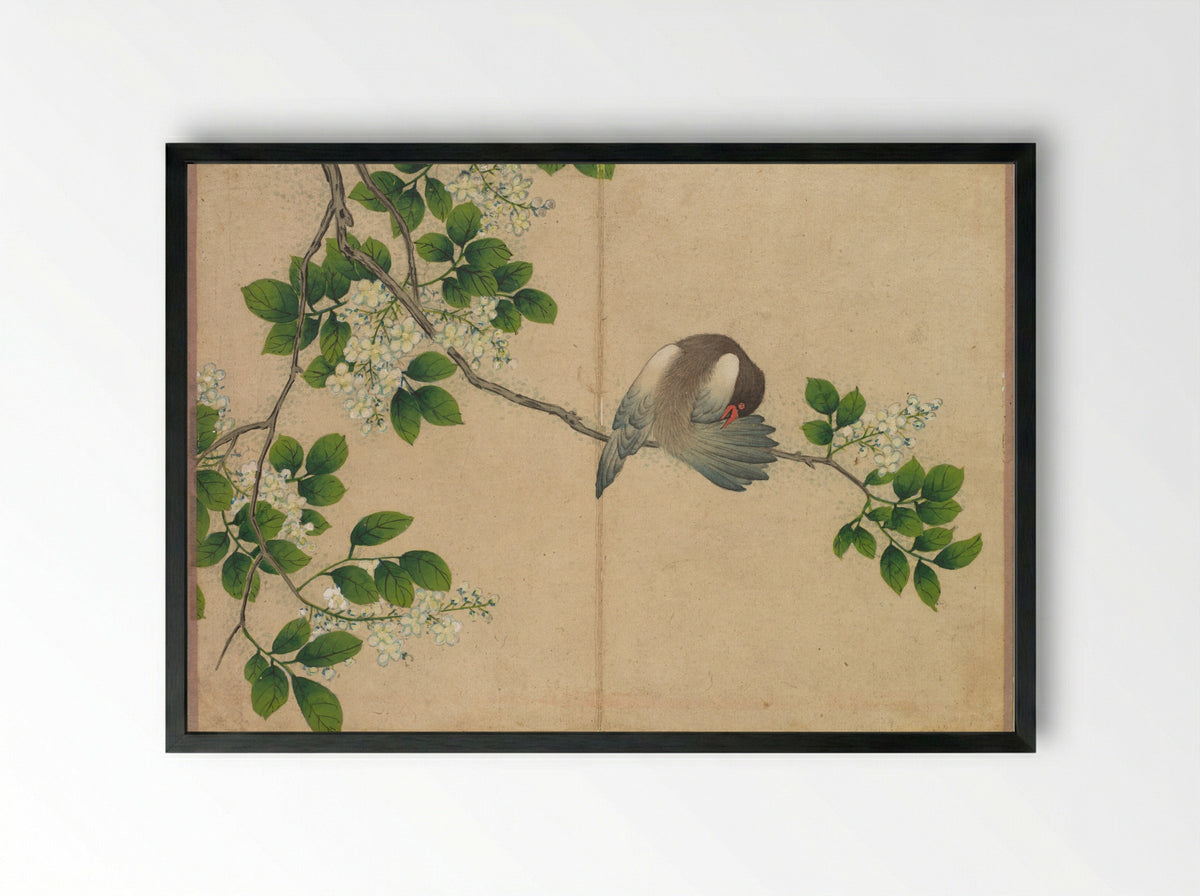 Desk Album: Flower and Bird Paintings (Preening Bird) - Zhang Ruoai - Framed Print Black