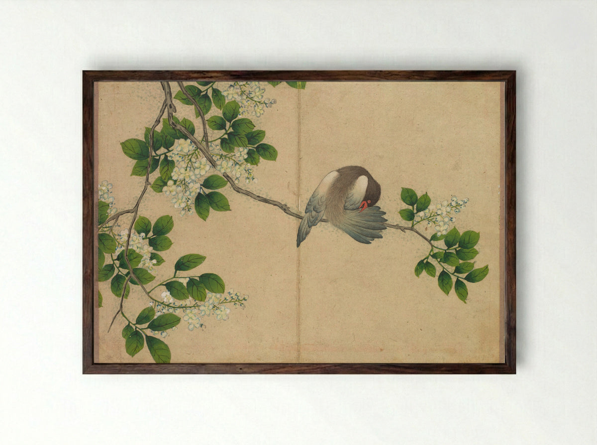 Desk Album: Flower and Bird Paintings (Preening Bird) - Zhang Ruoai - Framed Print Dark Wood