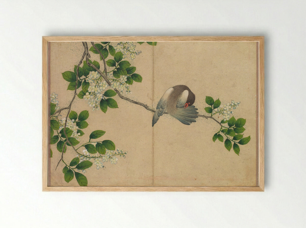 Desk Album: Flower and Bird Paintings (Preening Bird) - Zhang Ruoai - Framed Print Wood