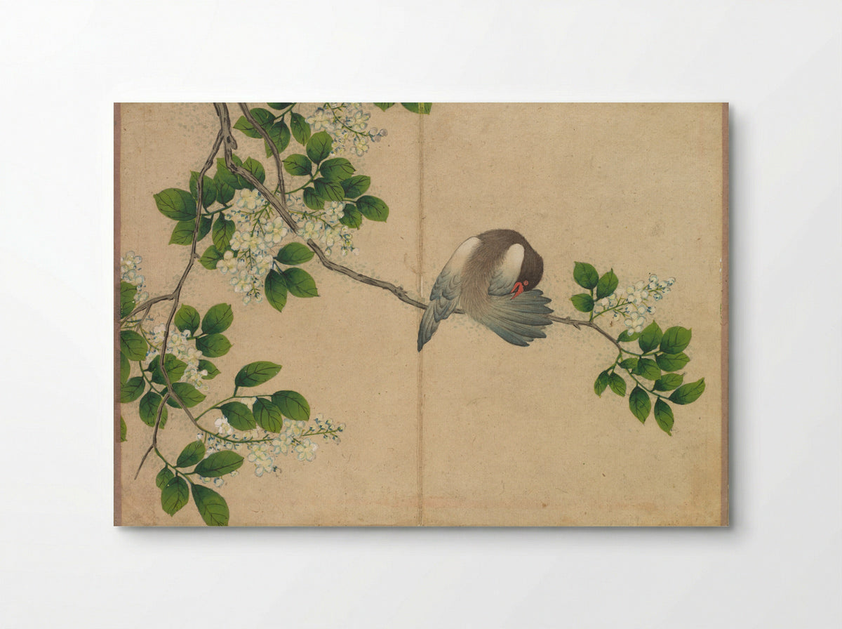 Desk Album: Flower and Bird Paintings (Preening Bird) - Zhang Ruoai - Poster