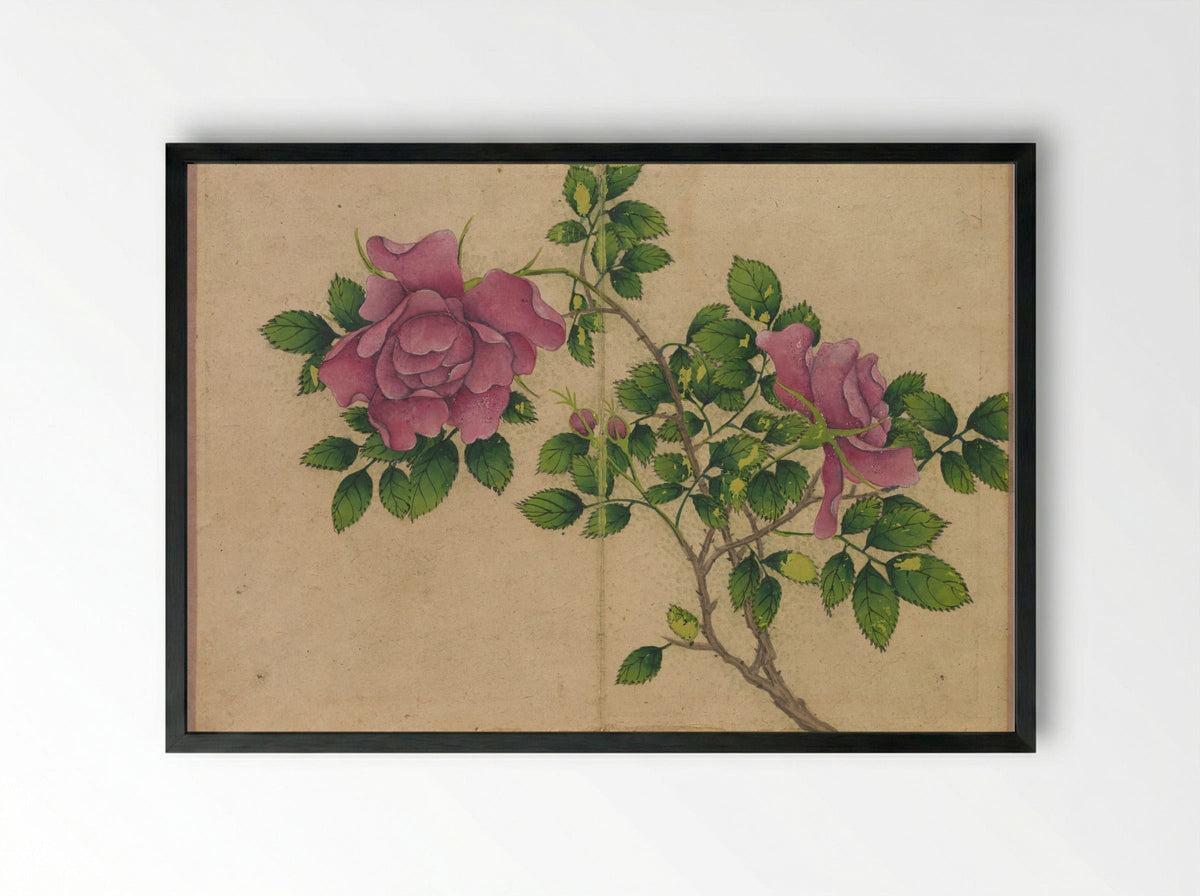 Desk Album: Flower and Bird Paintings (Rose) - Zhang Ruoai - Framed Print Black