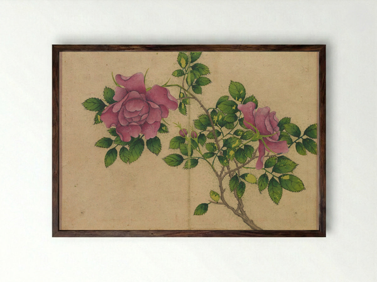 Desk Album: Flower and Bird Paintings (Rose) - Zhang Ruoai - Framed Print Dark Wood