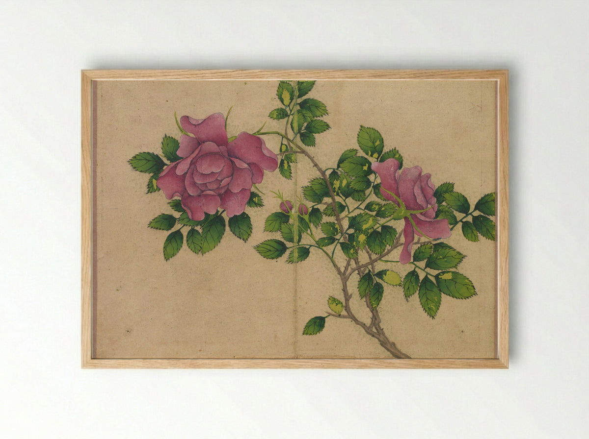 Desk Album: Flower and Bird Paintings (Rose) - Zhang Ruoai - Framed Print Wood