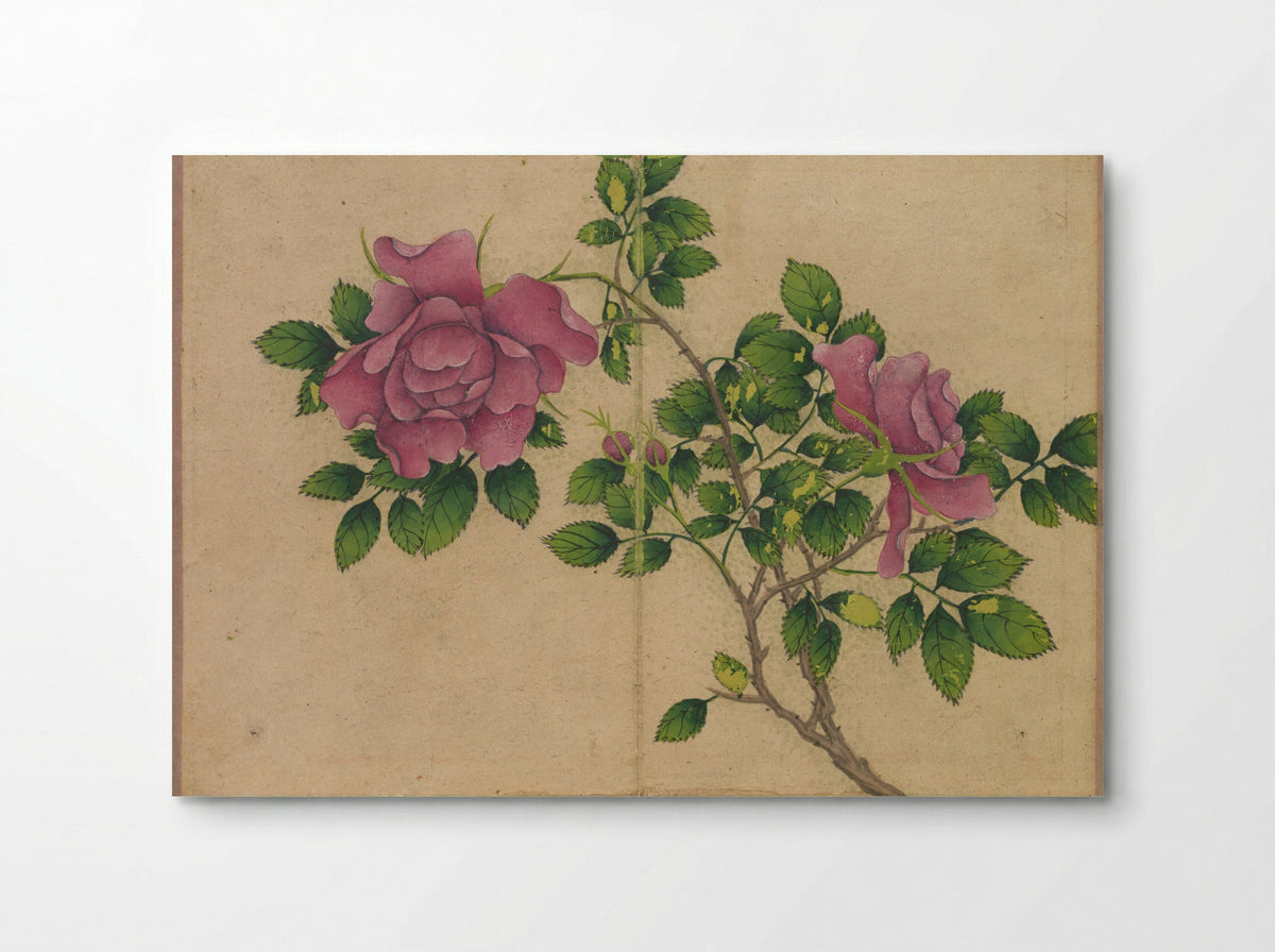 Desk Album: Flower and Bird Paintings (Rose) - Zhang Ruoai - Poster