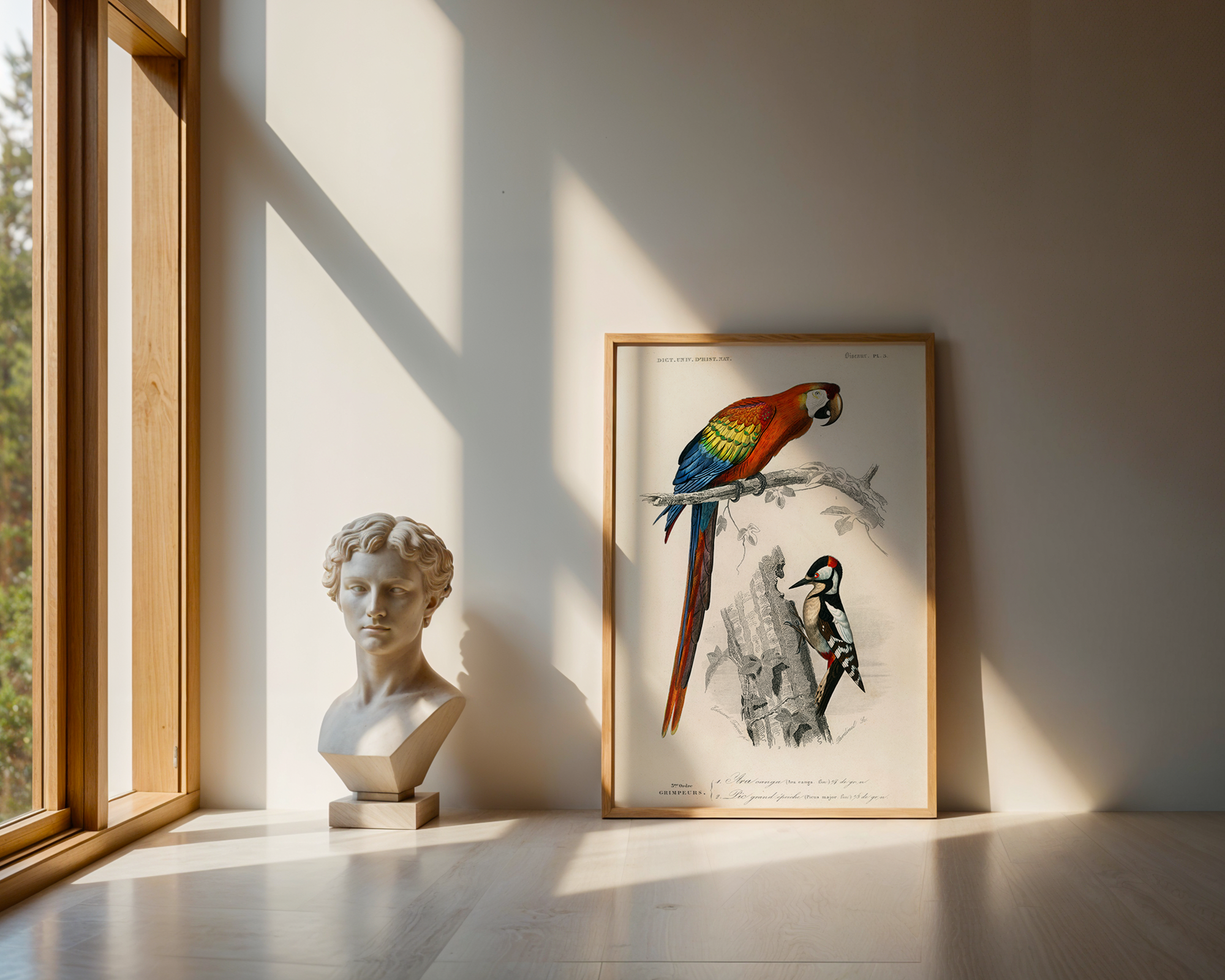 Different-types-of-birds-illustrated-by-Charles-Dessalines-D_-Orbigny-2_final mockup