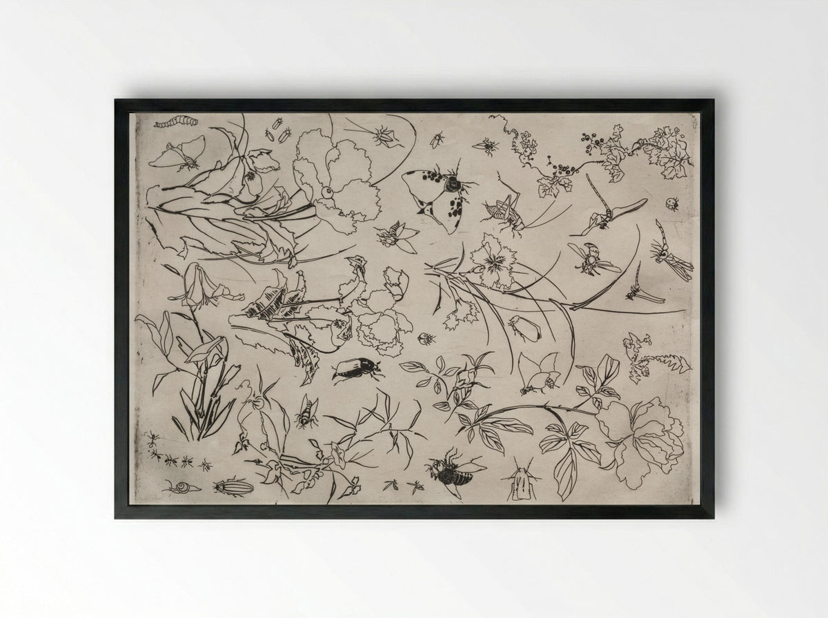 Dinner Service (Rousseau service): Flowers and Insects (no. 15) - Félix Bracquemond - Framed Print Black