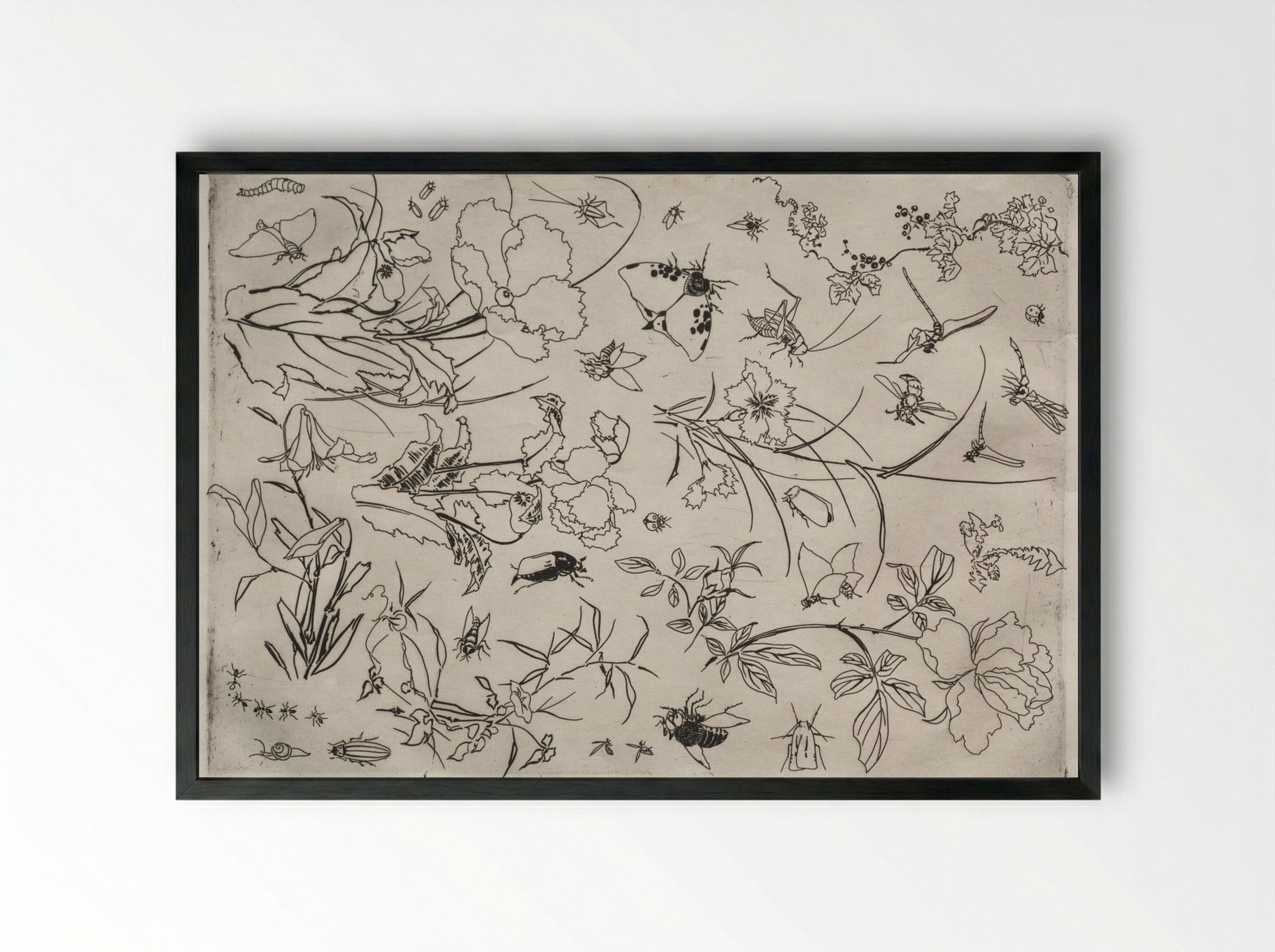 Dinner Service (Rousseau service): Flowers and Insects (no. 15) - Félix Bracquemond - Framed Print Black