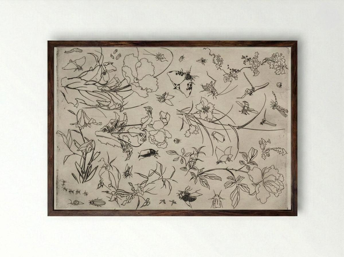 Dinner Service (Rousseau service): Flowers and Insects (no. 15) - Félix Bracquemond - Framed Print Dark Wood