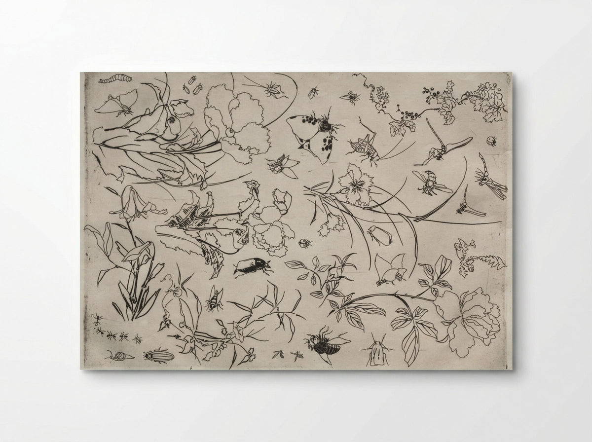 Dinner Service (Rousseau service): Flowers and Insects (no. 15) - Félix Bracquemond - Poster