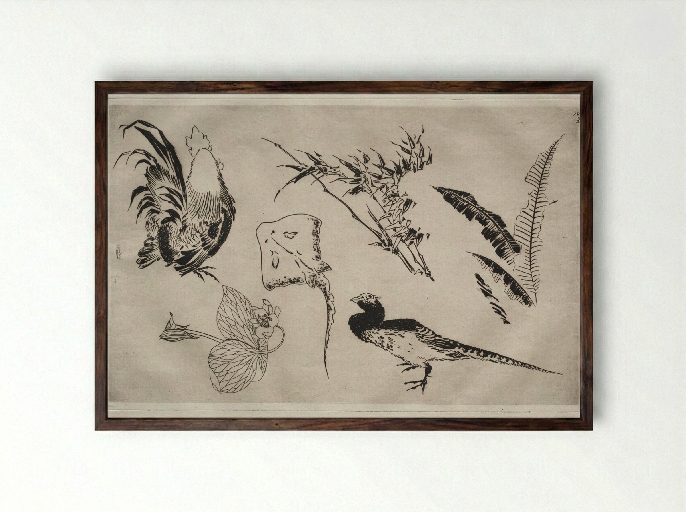 Dinner Service (Rousseau service): Roosters, skate, plants, etc. (no. 9) - Félix Bracquemond - Framed Print Dark Wood