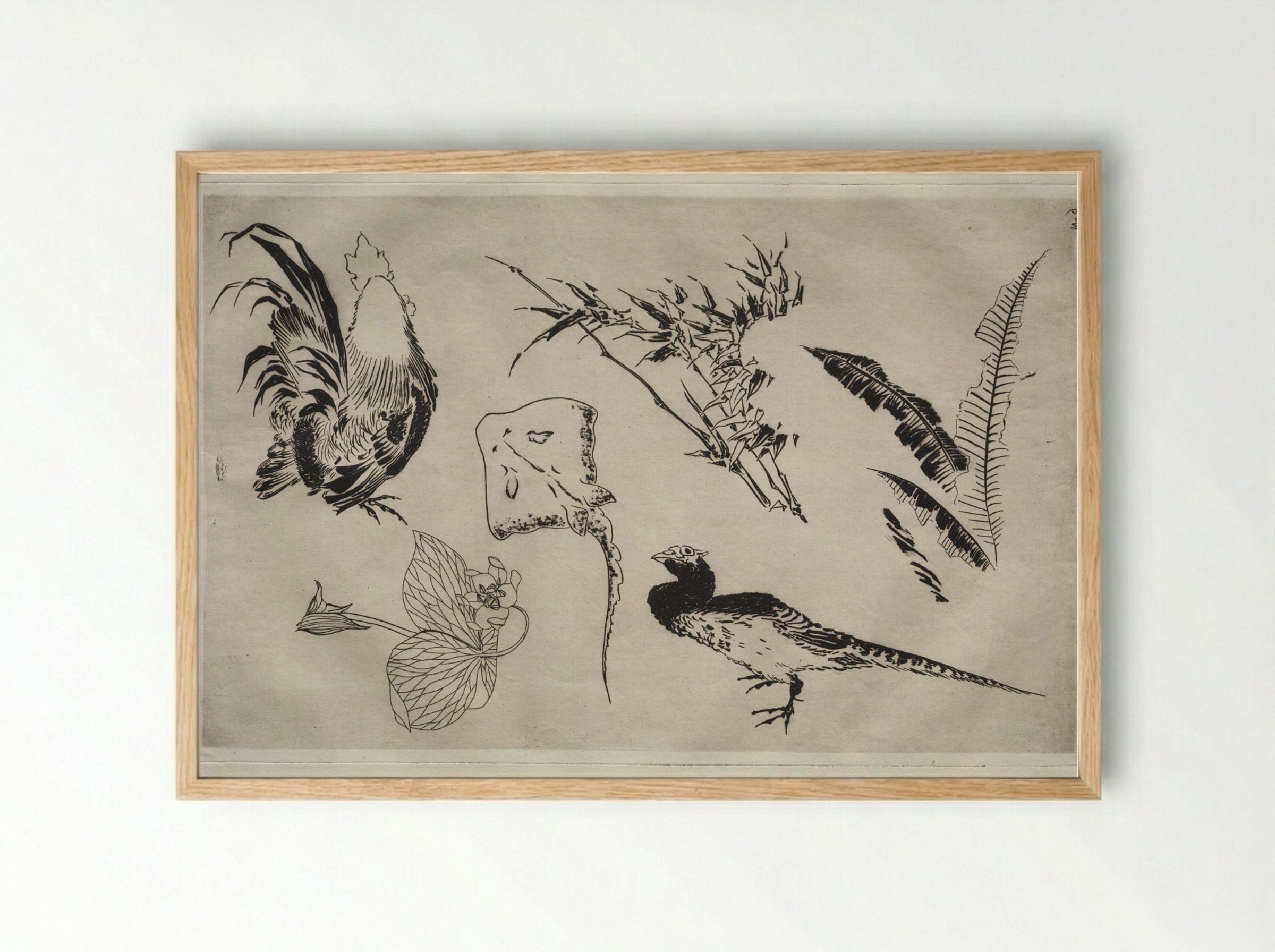 Dinner Service (Rousseau service): Roosters, skate, plants, etc. (no. 9) - Félix Bracquemond - Framed Print Wood