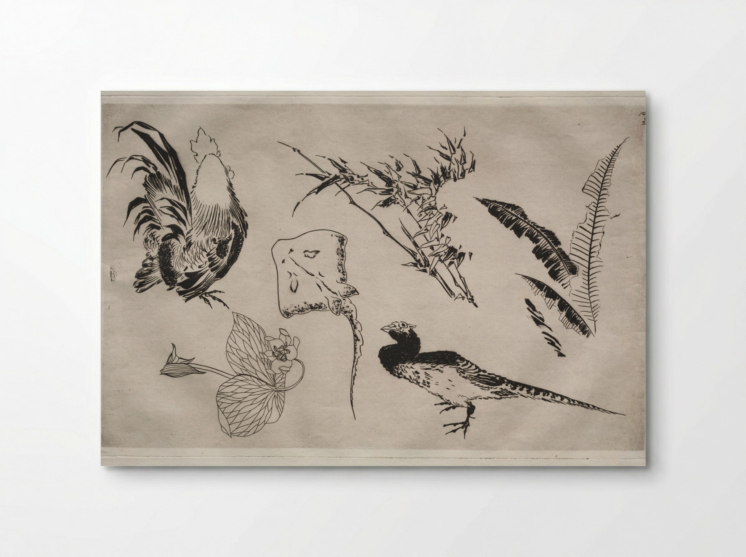 Dinner Service (Rousseau service): Roosters, skate, plants, etc. (no. 9) - Félix Bracquemond - Poster
