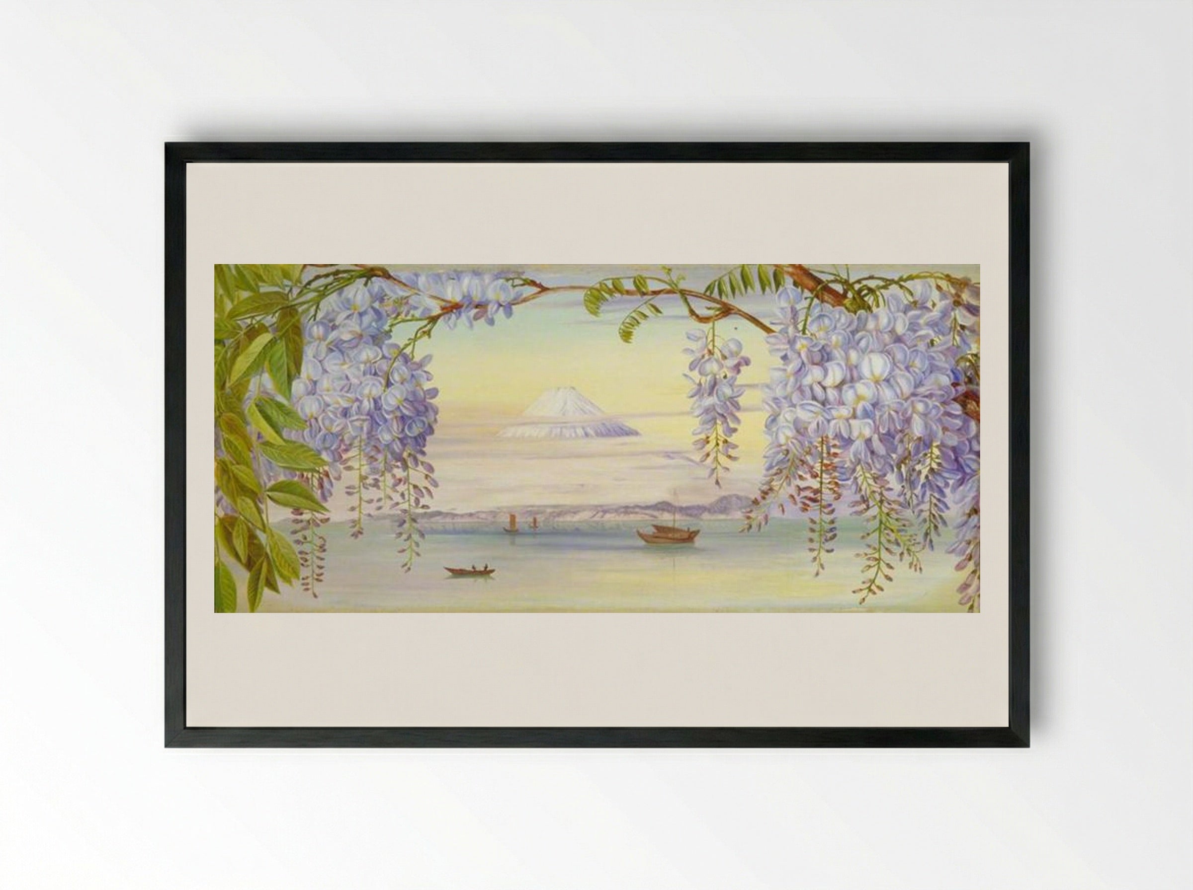 Distant View of Mount Fujiyama, Japan, and Wistaria - Marianne North - Framed Print Black