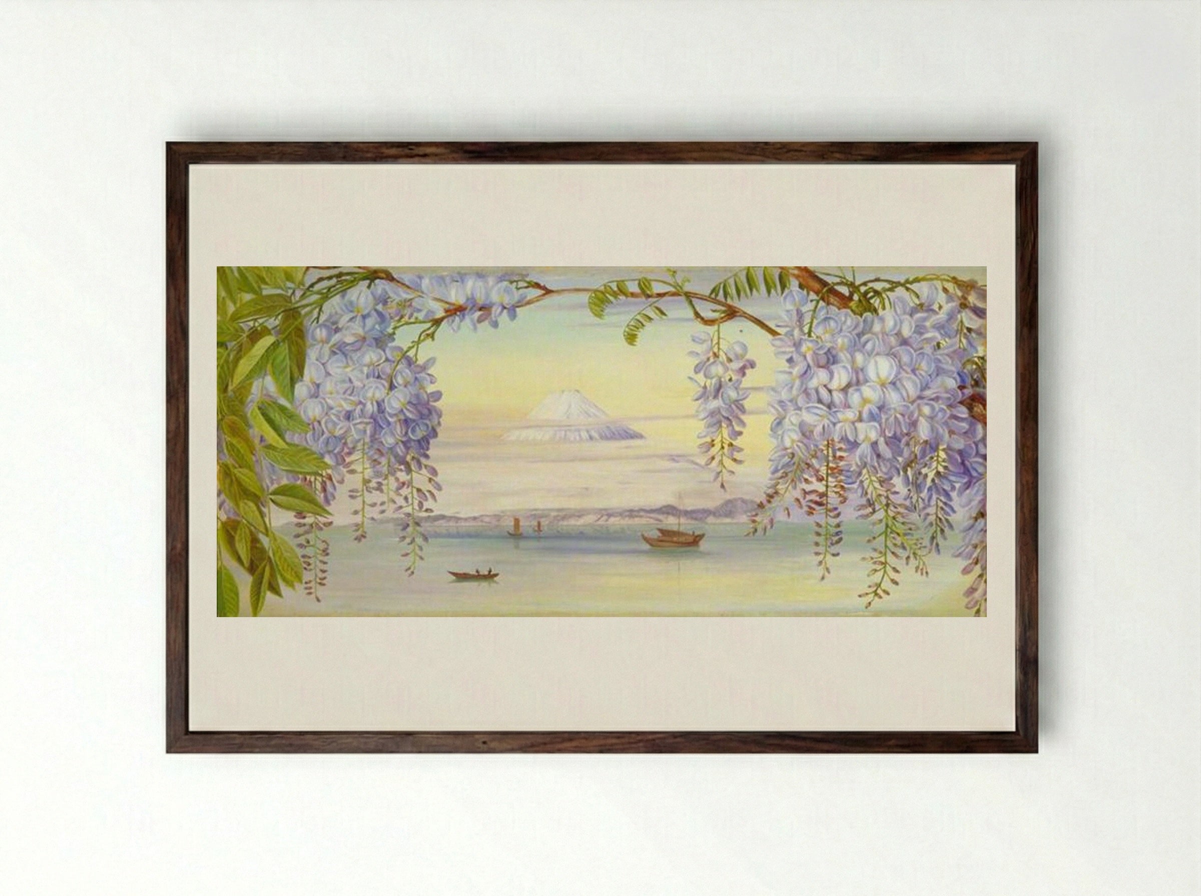 Distant View of Mount Fujiyama, Japan, and Wistaria - Marianne North - Framed Print Dark Wood